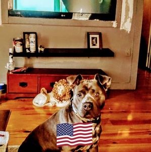 Meet your Posher, Dale